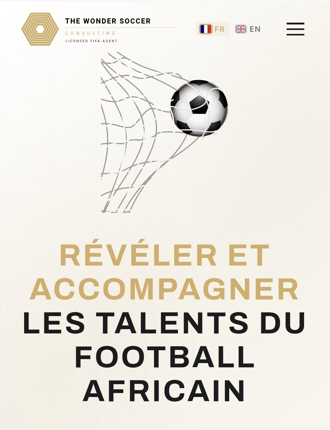 Wonder Soccer Consulting website preview